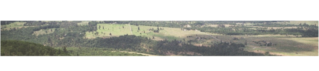 landscapesectiondividers 12