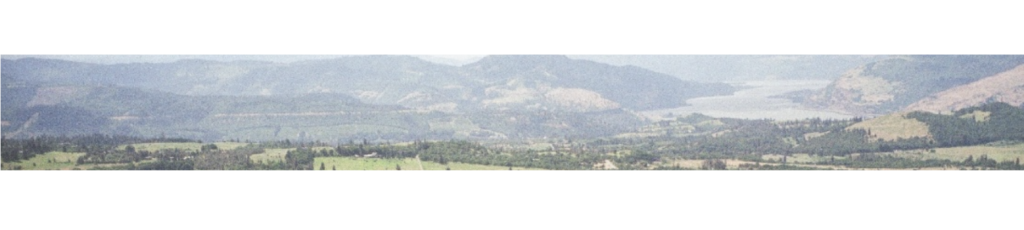 landscapesectiondividers 13