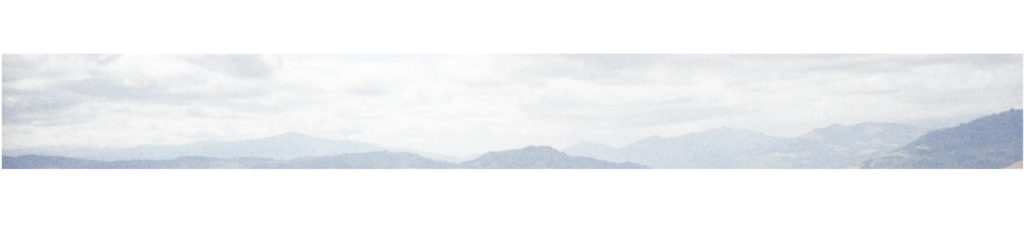 landscapesectiondividers 14