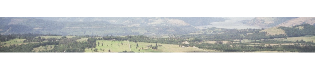 landscapesectiondividers 15