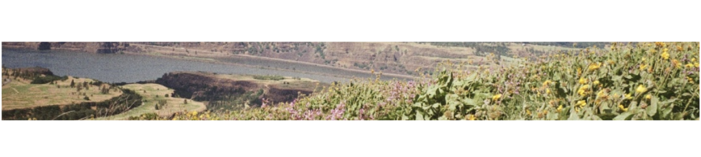 landscapesectiondividers 17