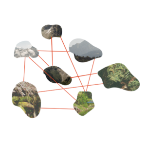 What Is Regenerative Design?